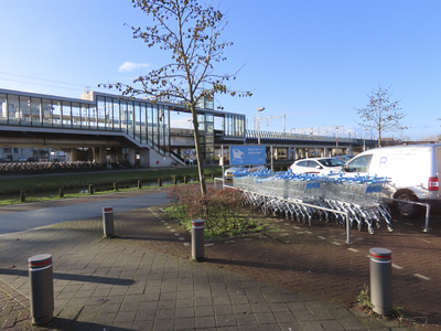 901264 Afbeelding van een rij winkelwagentjes van supermarktketen Albert Heijn, aan de zijkant van Winkelcentrum ...